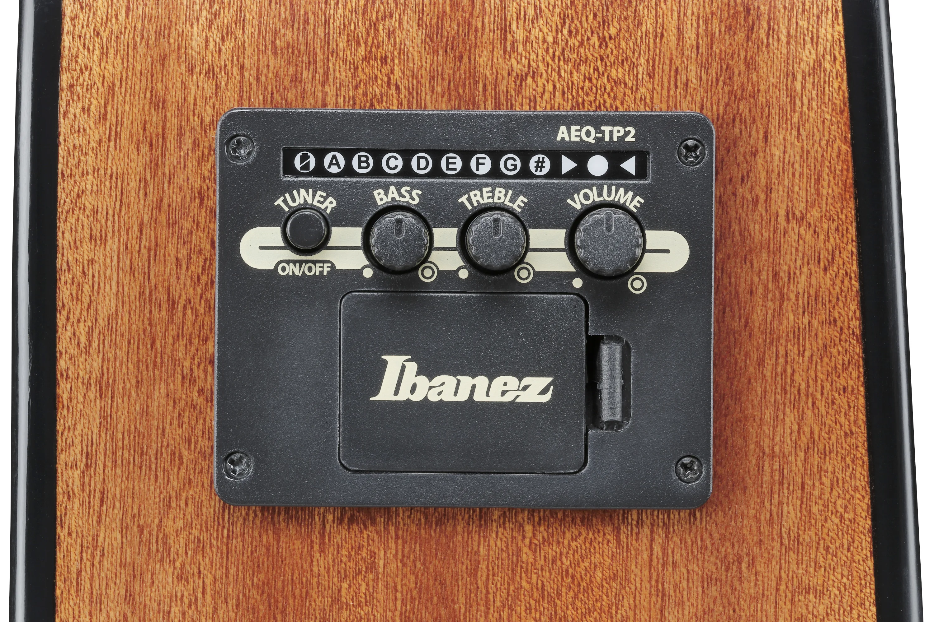 Ibanez AAD51LCE-DVS - Reglerbereich auf dem Korpus